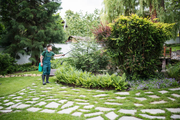 Best Ant Control Services  in Lake Cassidy, WA
