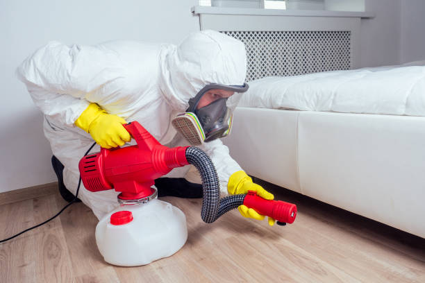 Best Emergency Pest Control  in Lake Cassidy, WA