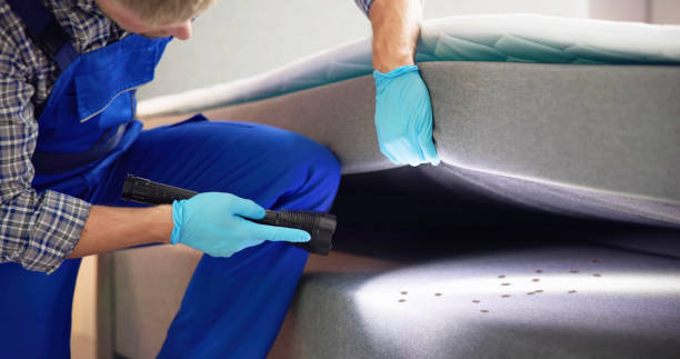 Best Termite Control Services  in Lake Cassidy, WA