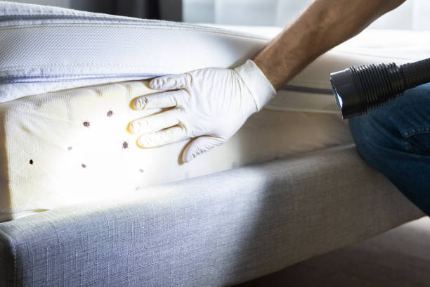Best Best Pest Control Companies  in Lake Cassidy, WA